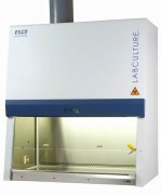 Labculture®B2型二级生物安全柜 编号：BYACG1005